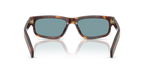 Classic Tortoise