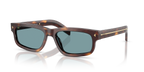 Classic Tortoise