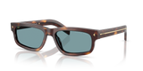 Classic Tortoise
