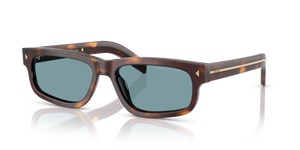 Classic Tortoise  - Green Polar