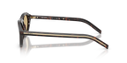 Root Tortoise