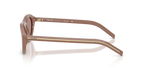 Pecan