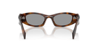 Juniper Tortoise