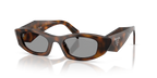 Juniper Tortoise