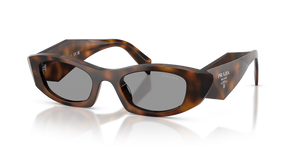 Juniper Tortoise  - Grey