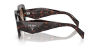 Root Tortoise