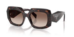 Root Tortoise  - Brown Gradient