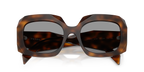Juniper Tortoise