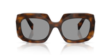 Juniper Tortoise