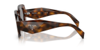 Juniper Tortoise