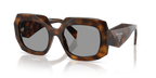 Juniper Tortoise
