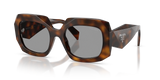 Juniper Tortoise