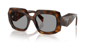 Juniper Tortoise  - Grey