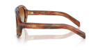 Striped Oak