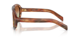 Striped Oak