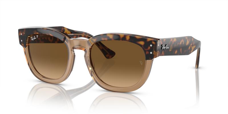 Havana On Transparent Brown