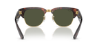 Tortoise On Gold
