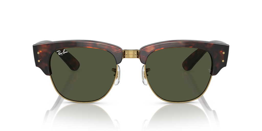 Tortoise On Gold