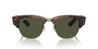 Tortoise On Gold