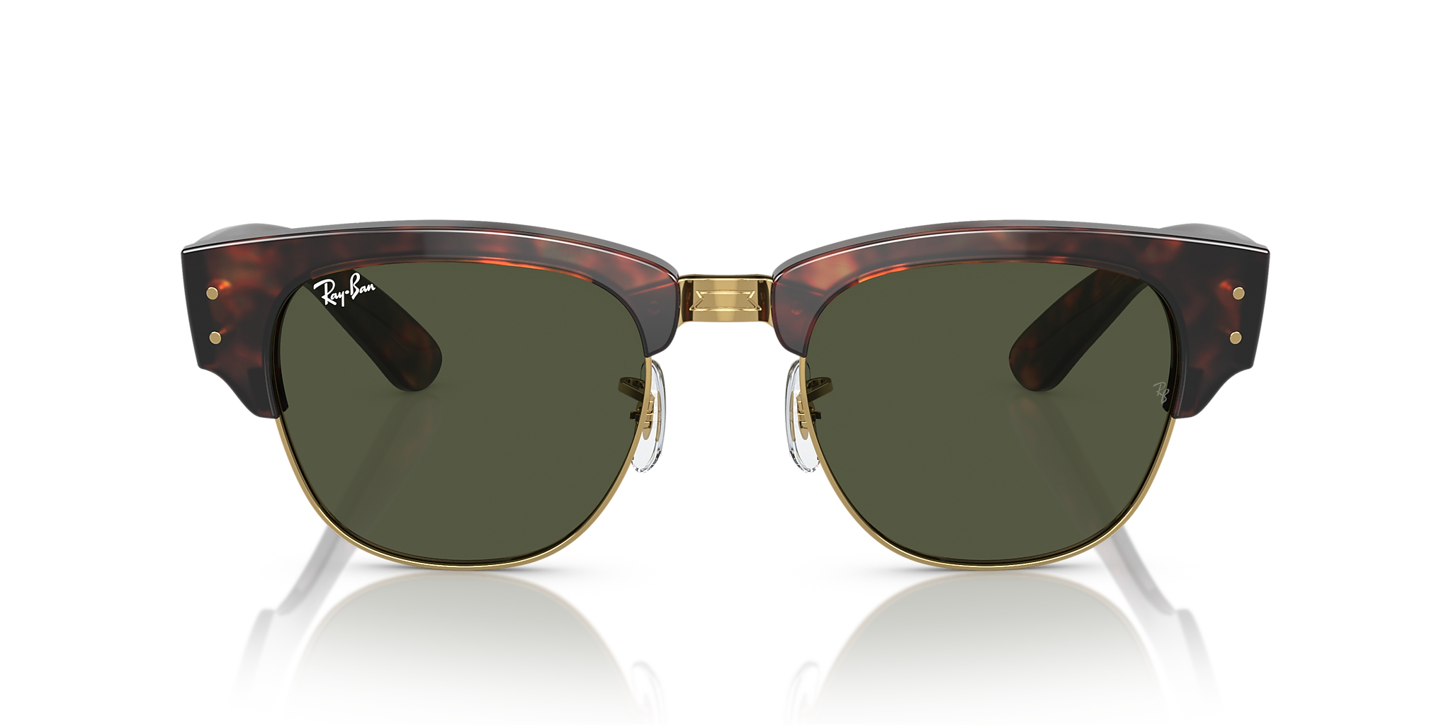 Tortoise On Gold