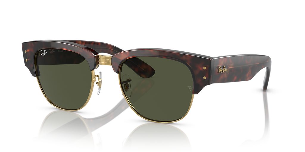 Tortoise On Gold