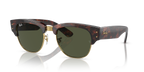 Tortoise On Gold