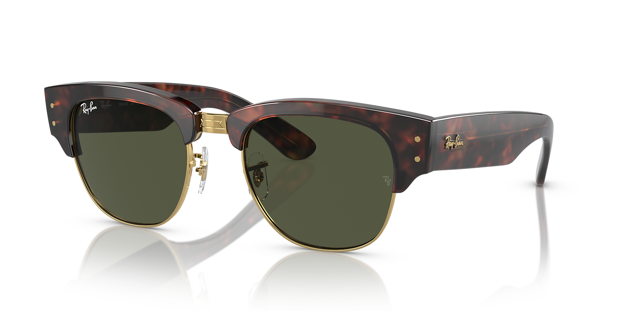 Tortoise On Gold