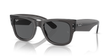Transparent Black  - Dark Grey