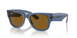 Transparent Blue  - Brown