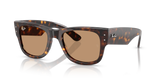 Havana  - Brown