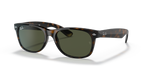 Tortoise