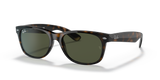 Tortoise