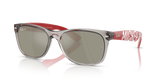 Transparent Grey  - Grey Mirror Silver - Polar