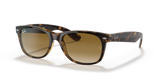Light Havana  - Light Brown Gradient