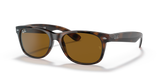 Light Havana  - B15 Brown