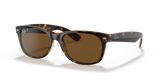Tortoise  - B15 Brown