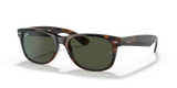 Tortoise  - G15 Green
