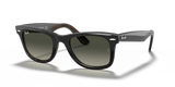Grey On Havana  - Grey Gradient