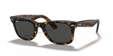 Havana On Transparent Brown  - Dark Grey