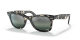 Grey Havana  - Silver/Blue