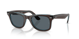 Brown On Transparent Blue  - Blue