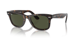 Tortoise  - G15 Green