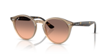 Turtledove  - Pink Gradient Grey