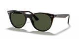 Tortoise