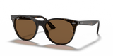 Spotted Havana  - B15 Brown