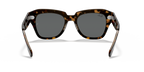 Havana On Transparent Brown