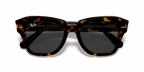 Havana On Transparent Brown