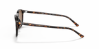 Tortoise