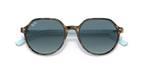 Havana On Light Blue
