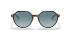 Havana On Light Blue